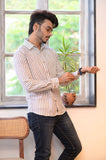 White & Grey Stripe Cotton Slim Shirt - NamegStore
