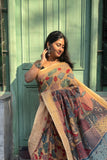 Cotton Kalamkari Saree