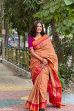 Brown with Pink Pallu Gadwal Cotton Saree