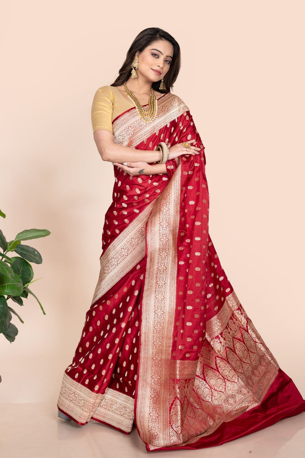 Banarasi Silk Saree